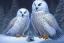 Placeholder: snow OWL EAGLE