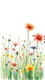 Placeholder: a smear . Field of wild a colorful flowers watercolor drawing