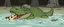 Placeholder: anime crocodile hippo with fluffy hair, doing dog things and eating small dog in the style of fallout 4 and giger and escher