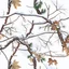 Placeholder: detailed Real Tree Camouflage made of sticks, twigs, tree bark, dried oak leaves, pine branches, snow and dirt, white background, seamless repeatable texture pattern imitating a natural forest background