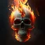 Placeholder: fiery skull