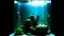 Placeholder: Aquarium, filter, clean, purity, soul, spirit, ghost, haunt