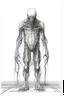 Placeholder: The full body of one fat old men , a thin line draw , front view camera, decayed and rotting with grotesque proportions and imagery. surreal horror, biomechanical design, by hr giger and beksinski , fine lines draw all white picture