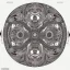 Placeholder: detailed spiral skulls fibonacci vegvisir