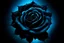 Placeholder: Create black rose and blue background