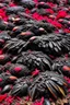 Placeholder: A pile of blood-soaked black feathers