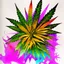 Placeholder: Generate a watercolour artwork where different drugs weed, tobacco, cocain, pill and other drugs are placed asymetricaly making a compositions