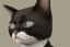 Placeholder: cat in a black business suit. portrait.