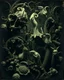 Placeholder: A daguerreotype-style close-up image of a surreal background inspired by Hieronymus Bosch and Max Ernst, featuring twisted organic forms, decaying botanical elements, and strange vegetal growths that seem to pulse with unnatural life. The entire scene is bathed in soft, ambient lighting that creates an otherworldly atmosphere, with areas of deep shadow contrasting against the pale, spectral glow of the figures.