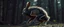 Placeholder: radiant werewolf rabbit thick Skeleton with lotsa fluffy fur, motion blur background dark forest