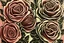 Placeholder: roses block print