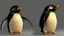 Placeholder: angry penguin | black background | red eyes | yellow beak