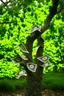 Placeholder: money does grow on trees