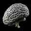 Placeholder: دماغ