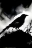 Placeholder: A simple Bird silouette in a dark atmospheric place. Watercolor. Total black, noir, terror.