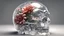 Placeholder: flowers in a crystal skull, clear lines, detail, fine rendering, high resolution, 64K, photorealism, precise focus,