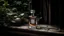 Placeholder: generate me an aesthetic complete image of Perfume Bottle in Rustic Setting