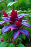 Placeholder: zehirli bitki, mor ve kırmızı renklerde, epik sıra dışı görünümlü bir bitki