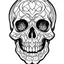 Placeholder: very simple Coloring page for beginers with skull, very Bold outlines and white background, not very detailed