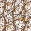 Placeholder: detailed Real Tree Camouflage made of sticks, twigs, dried leaves, pine branches, snow and dirt, white background, seamless repeatable texture pattern imitating a natural forest background