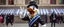 Placeholder: pride donald duck as a jewish cross dresser