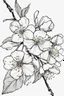 Placeholder: outline art for Spring: cherry blossem, White background. sketch style, clean line art, white background, no shadow and clear