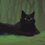 Placeholder: Gato negro durmiendo en un bosque oscuro