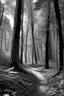 Placeholder: Autumn forest path in the style of Ansel Adams