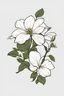 Placeholder: Pacific dogwood, simple vector logo, white background