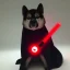 Placeholder: darth shiba inu with a red light saber