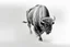 Placeholder: Bison walking towards viewer's right, on white background, fades out on the left