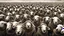 Placeholder: large crowd of soldiers all with sheep heads