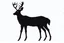 Placeholder: silhouette of a male deer, black on white, vector