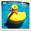 Placeholder: a very beautiful picture of a giant rubber duck in a pool, polaroid