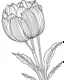 Placeholder: real massive Tulip flower coloring page