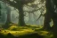 Placeholder: forest trees sunshine mountains