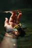 Placeholder: Bosch painting style nightmare a tiny hand of a baby in the water trying to hold a frog inside the water