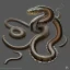 Placeholder: A ground type and poison cobra snake pokemon. basilisk inspired. Atheris Hispida. Big body, covered with stone spikes. stone textures. grey colors