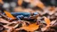 Placeholder: Close up salamandra in dry leaves concept photo. Colorful lizard. Side view photography with blurry sprouts on background. High quality picture for wallpaper, travel blog, magazine, article