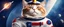 Placeholder: rocket ship cat captain