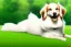 Placeholder: Cute Dog Laying Down On Grass, Sunny, Bright Lighting, Cute,