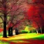 Placeholder: landscape art only tree color