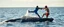 Placeholder: kick boxing match on top of whale