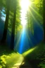 Placeholder: Towards bright light forest