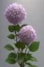 Placeholder: an isolated translucent hydrangea plant, 3d render, art nouveau style, ultra realistic, masked transparent flat background, backlight, popular on sketchfab, pixelsquid, 8k, volumetric lighting, super focused, no blur, trending on artstation, octane render, ultra detailed, hyperrealistic, by artgerm and alphonse mucha