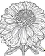 Placeholder: real massive Zinnia flower coloring page