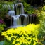 Placeholder: A small waterfall surrounded with yellow flowers and bushes