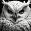 Placeholder: Closeup of a white owl. Evil. Black magic. No detailed background.Magical. Epic. Dramatic, highly detailed, digital painting, masterpiece Negative: worst quality, blurry, bad quality, grayscale,malformed face, deformed, deformed face, deformations