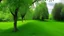 Placeholder: trees in the middle of the garden close to camera, apple tree on the left plum tree on the right cherry tree in the middle in the on the green grass