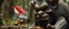 Placeholder: close up on pixie gnome and a giant troll intense huge funny mouse, with background motion blur, in magical forest scene, in the style of Rembrandt